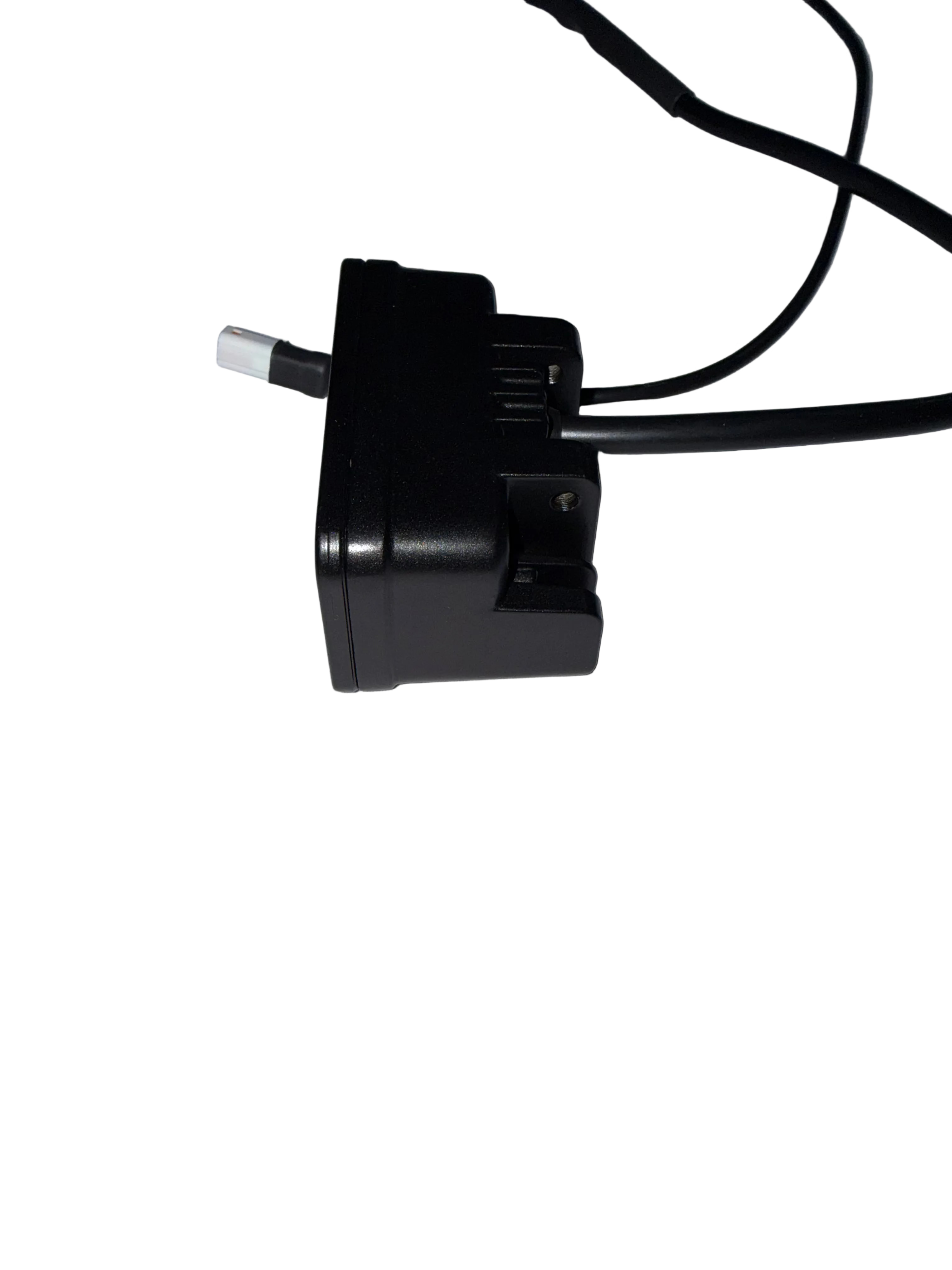 Motoparty Taillight (XXX)